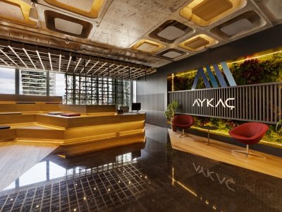 Проект:Aykac Insaat Offices, Стамбул, Турция