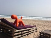 Собака пластиковая Magis Puppy полиэтилен оранжевый Фото 15