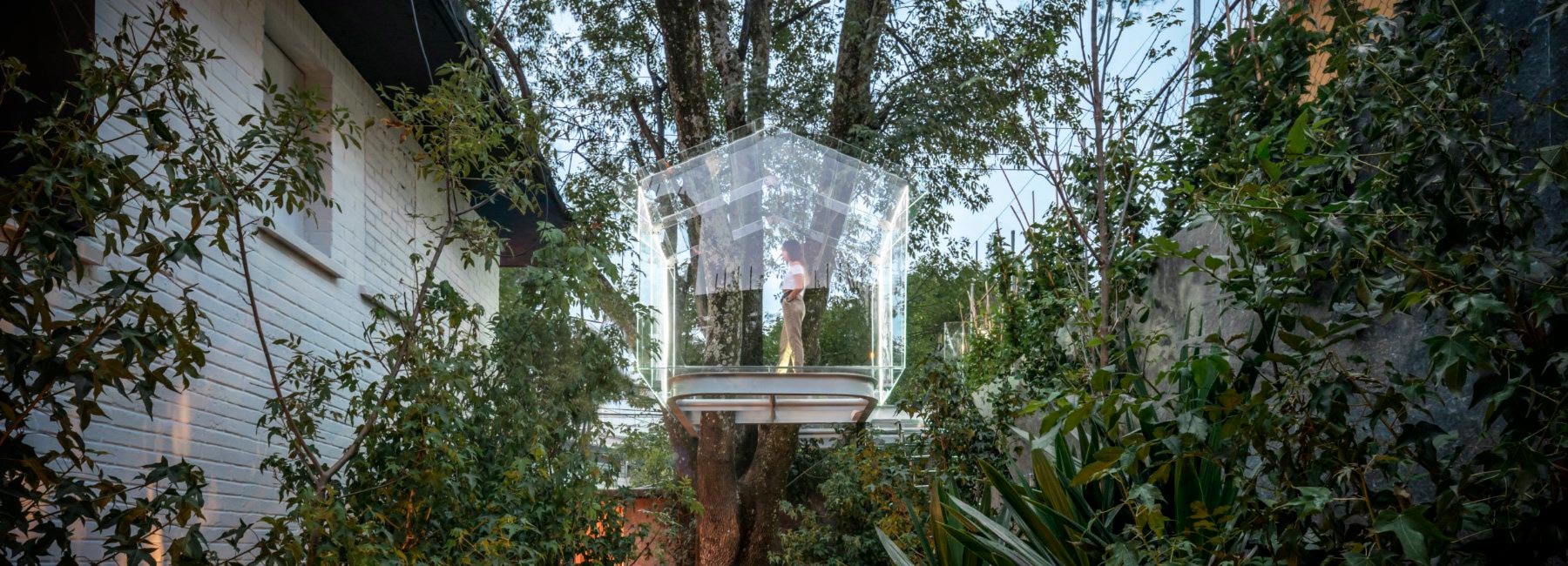 Прозрачный домик из стекла на дереве
