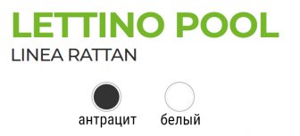 Шезлонг пластиковый Pool