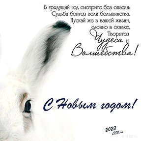 С наступающим Новым Годом и Рождеством!



