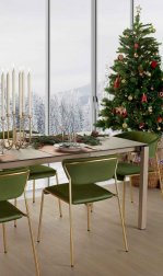 Стол ламинированный раздвижной Pranzo Extendable