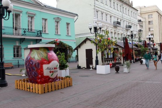 Фестиваль 