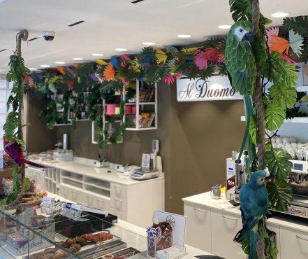 Pasticceria Al Duomo, Тревизо, Италия