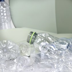 Стул пластиковый Mentha Go Green
