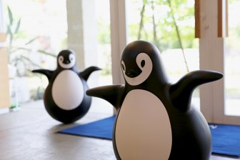 Неваляшка пластиковая Pingy