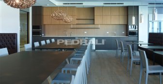 Стул деревянный Young