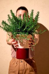 Ваза для цветов Mimosa