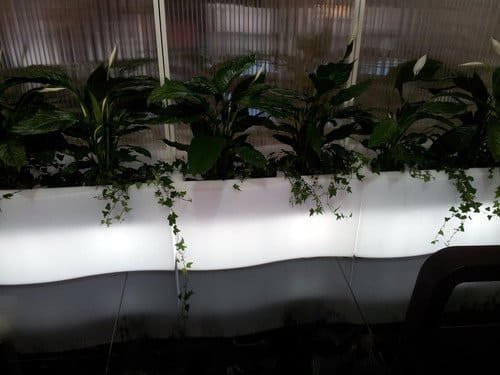 Кашпо пластиковое светящееся Prive Lighting