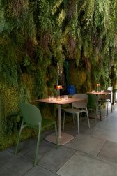 Стул пластиковый Scab Design Hug Go Green зеленый шалфей