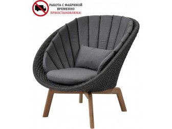 Лаунж-кресло плетеное с подушкой-thumbs-Фото2