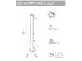 Душ солнечный Arkema Big Happy Five F 620 полиэтилен высокой плотности антрацит Фото 2