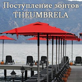 Поступление зонтов THEUMBRELA