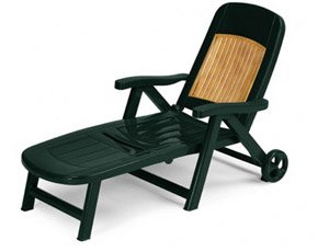 TOPlz_enl (копия)