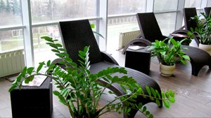 3fdb5b9514227ff9b1780144f76d33a9